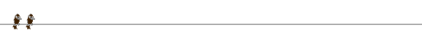 birds1.gif (7152 octets)