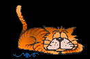 cat_anm.gif (4224 octets)