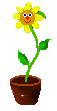 fleur.gif (4100 octets)