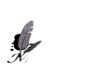 merciWHT.gif (5839 octets)