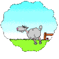 mouton1.gif (16402 octets)