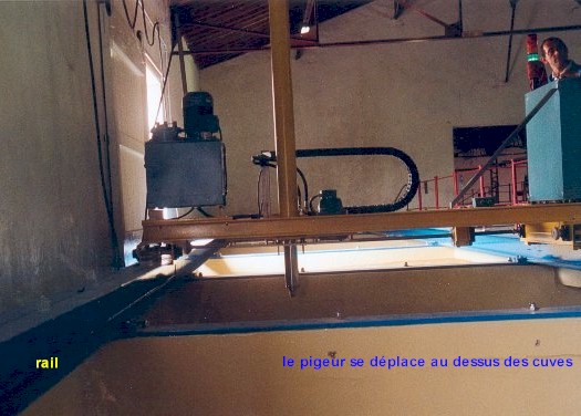 pig07hb.jpg (54442 octets)
