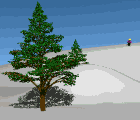skiaccident.gif (38384 octets)