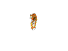 tiger.gif (38928 octets)