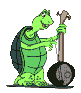 turtle.gif (15238 octets)